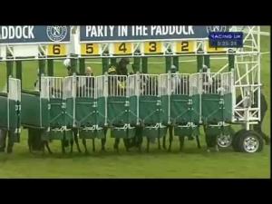 Video preview image for Newbury 15:25 - Rose Bowl Stakes - Sponsored By Compton Beauchamp Estates Ltd (Listed)