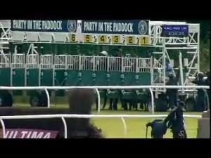 Video preview image for Newbury 16:35 - Oakley Coachbuilders Handicap