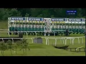 Video preview image for Newbury 17:10 - Chris Beek Racing Apprentice Handicap