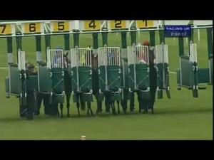 Video preview image for Newbury 14:00 - Shares In Downright Dizzie At chrisbeekracing.com Conditions Stakes (Str)