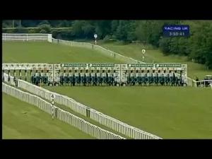 Video preview image for Newbury 15:50 - Weatherbys Super Sprint