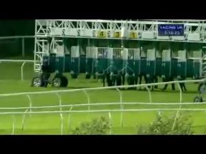 Video preview image for Catterick Bridge 14:10 - St Teresa's Hospice Novice Auction Stakes