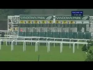Video preview image for Sandown Park 19:30 - Jamcap Property Development Handicap