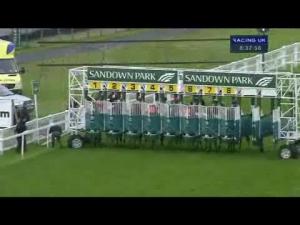 Video preview image for Sandown Park 20:35 - Xl Group Handicap