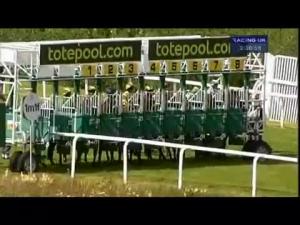 Video preview image for Hamilton Park 15:30 - totepool.com Handicap