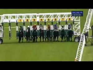 Video preview image for Hamilton Park 16:30 - Follow At Scottishracinggb On Twitter Handicap