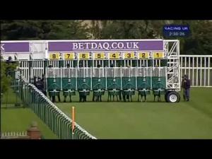 Video preview image for Haydock Park 14:30 - British Stallion Studs Supporting British Racing E.B.F. Maiden Stakes