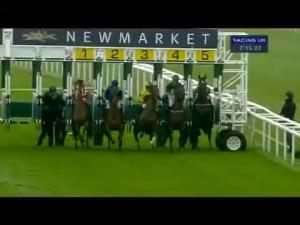 Video preview image for Newmarket 19:15 - poptelecom.co.uk Essential Business Tariff Conditions Stakes