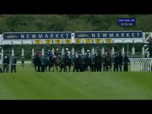 Video preview image for Newmarket 20:25 - poptelecom.co.uk 0845 & 0870 Free Calls Maiden Stakes
