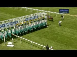 Video preview image for Newmarket 14:00 - Bet At Bluesquare On Your Mobile E.B.F. Fillies' Handicap