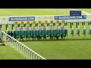 Video preview image for Newmarket 16:25 - Bet At bluesquare.com Maiden Stakes