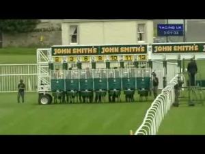 Video preview image for Musselburgh 15:00 - Scottish Racing Handicap