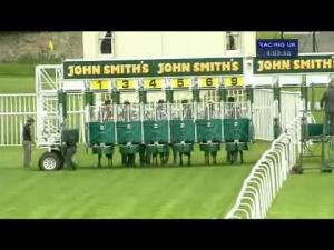 Video preview image for Musselburgh 16:00 - Musselburgh Festival Handicap