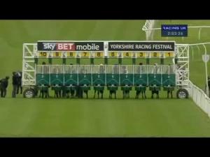 Video preview image for Catterick Bridge 14:00 - British Stallion Studs Supporting British Racing E.B.F. Maiden Stakes