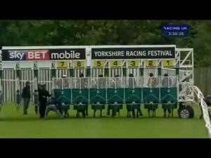 Video preview image for Catterick Bridge 15:30 - Sky Bet Supporting The Yorkshire Racing Summer Festival Handicap