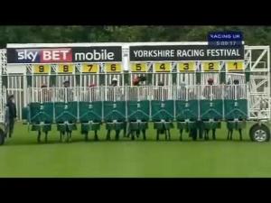 Video preview image for Catterick Bridge 17:00 - yorkshire.com Back Le Bid Claiming Stakes