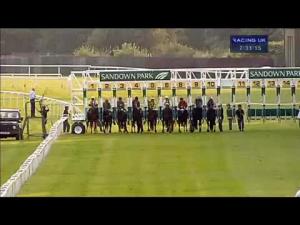 Video preview image for Sandown Park 19:30 - Totepool Mobile Text 'Tote' To 89660 Handicap