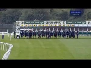 Video preview image for Sandown Park 20:05 - Racing Post Form With Totepool Mobile Handicap