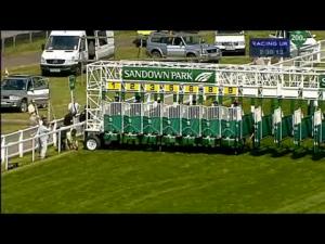 Video preview image for Sandown Park 14:30 - Young Stayers Handicap