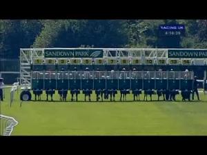 Video preview image for Sandown Park 16:15 - Twickenham Maiden Stakes