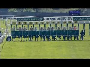 Video preview image for Sandown Park 16:50 - Lubricators Handicap