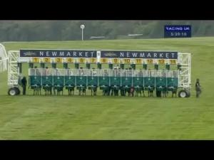 Video preview image for Newmarket 17:35 - Vindis Group Fillies' Handicap