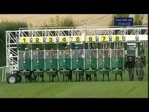 Video preview image for Salisbury 20:45 - Cathedral Hotel Salisbury Handicap