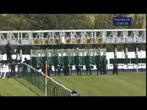 Video preview image for Ayr 14:05 - bettor.com Starting Commission Of 1.5% Median Auction Maiden