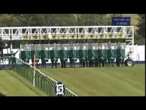 Video preview image for Ayr 14:35 - bettor.com Social Betting Handicap