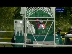 Video preview image for Ayr 16:45 - bettor.com Back and Lay Handicap