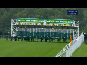 Video preview image for Goodwood 15:45 - Bet365 Molecomb Stakes (Group 3)