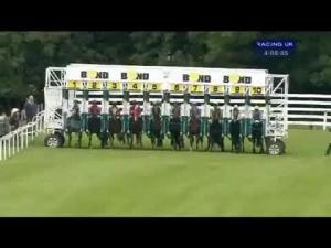 Video preview image for Beverley 16:05 - Dale Swift Is Our Sponsored Jockey Handicap
