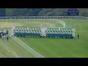Video preview image for Goodwood 16:50 - Poker At Bet365 Handicap