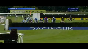 Video preview image for Perth 20:05 - Orion Group Handicap Chase