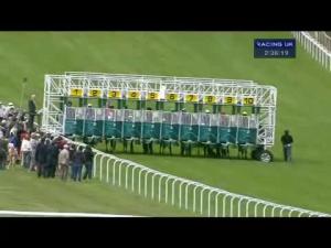 Video preview image for Goodwood 14:35 - Veuve Clicquot Vintage Stakes (Group 2)