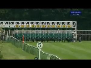 Video preview image for Nottingham 14:35 - Irish Stallion Farms E.B.F. Maiden Fillies' Stakes
