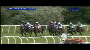 Video preview image for Bangor-On-Dee 14:45 - Meade King Robinson Novices' Handicap Chase