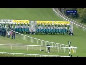 Video preview image for Goodwood 16:20 - Telegraph Nursery