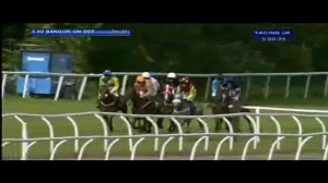 Video preview image for Bangor-On-Dee 17:00 - Goldford Stud Mares' Novices' Hurdle