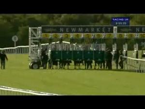 Video preview image for Newmarket 18:55 - Firestone Building Products Novice Stakes