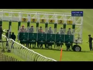 Video preview image for Thirsk 15:05 - Constant Security Nursery