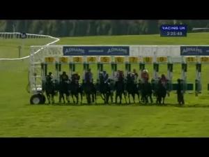 Video preview image for Newmarket 15:25 - Adnams Tally Ho Handicap