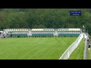 Video preview image for Goodwood 15:55 - Blue Square Bet Stewards' Cup (Heritage Handicap)