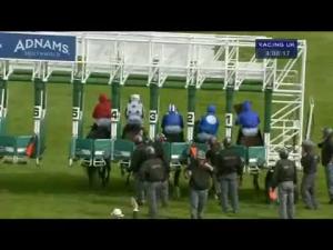 Video preview image for Newmarket 16:05 - Adnams Copper House Distillery E.B.F. Conditions Stakes