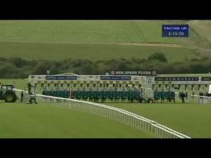 Video preview image for Newmarket 17:15 - Robert Palmer Memorial Handicap