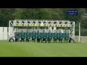Video preview image for Thirsk 17:25 - Shirley Anne Faill Memorial Handicap