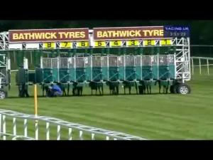 Video preview image for Newbury 15:50 - Grundon Recycle Nursery (Str)