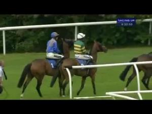 Video preview image for Market Rasen 16:30 - Rafbf Prolinx Ltd Handicap Chase