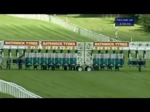 Video preview image for Newbury 16:55 - Bathwick Tyres Handicap