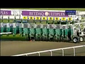 Video preview image for Kempton Park 18:30 - Back Or Lay At betdaq.com Handicap